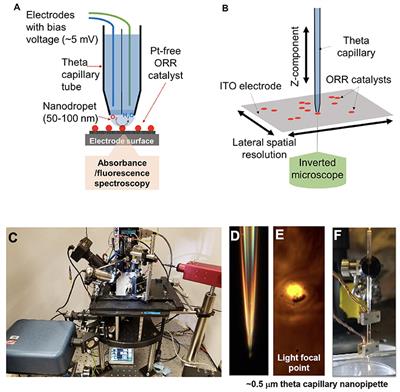 Mapping Localized Peroxyl Radical Generation on a PEM Fuel Cell Catalyst Using Integrated Scanning Electrochemical Cell Microspectroscopy